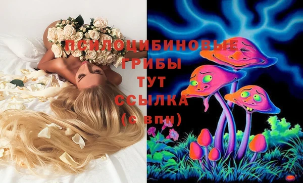 бутират Россошь