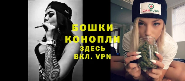 стафф Приозерск
