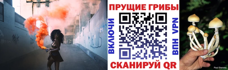 Купить закладки  Кизилюрт  Псилоцибиновые грибы прущие грибы 